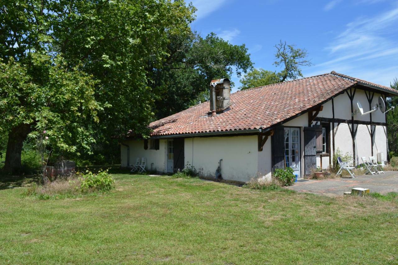 Apartment La Du Bucheron *