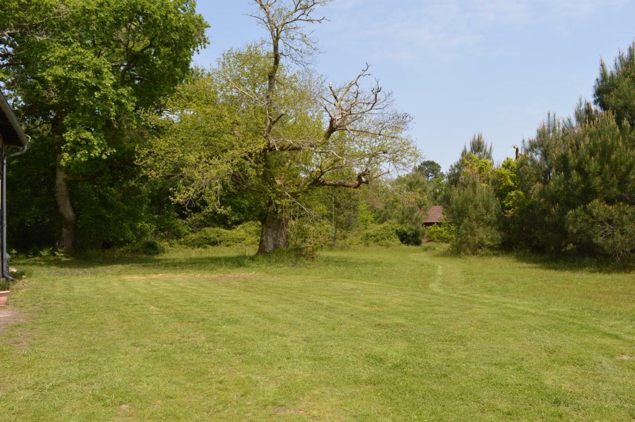 La Du Bucheron Apartment Laharie
